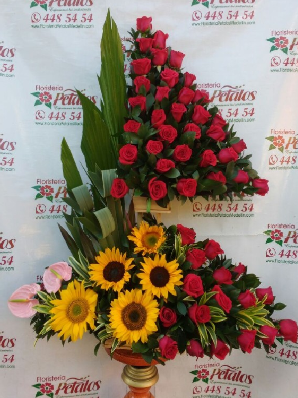 Pétalos 074